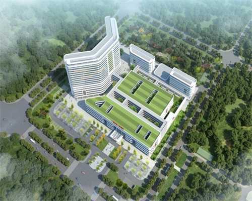 国内供精和供卵,哈医大试管婴儿王卓然 试管婴儿的权威专家