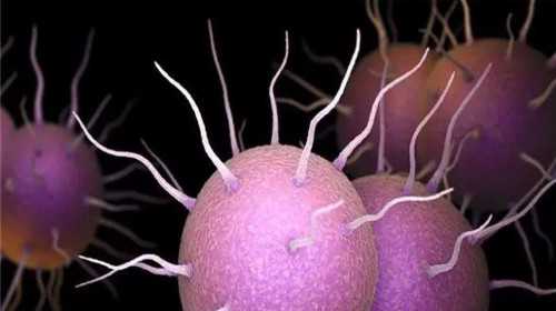 国内代怀生子公司,试管*男*女？移植失败的原因是