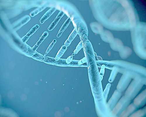 内膜厚吃益母草好了--试管代生哪家强