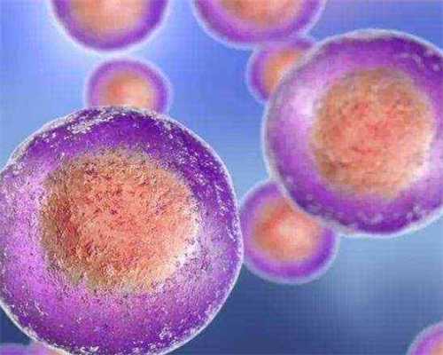 国内代孕怎么样,单纯的唇裂该引产吗（唇裂有没有可能误诊）