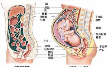 国内哪里有供卵试管婴儿,马来西亚第三代试管婴儿生双胞胎需要多少钱一次