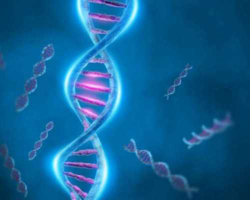 国内哪里能供卵,冷冻胚胎移植第十天没测出来怎么办？需要采取哪些措施?