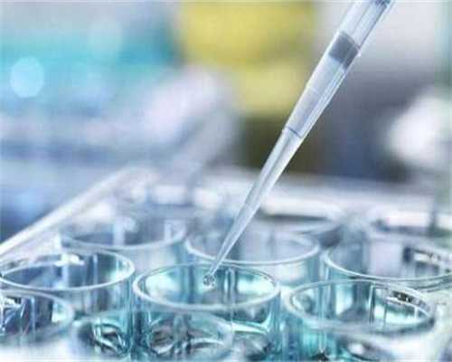 国内供卵价位多少钱,2025年五指山做第三代试管婴儿助孕价位