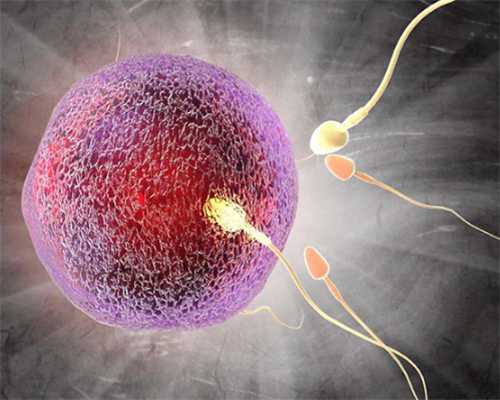 国内供卵试管的过程,输卵管伞端粘连能治好吗？输卵管伞端粘连怎么办？