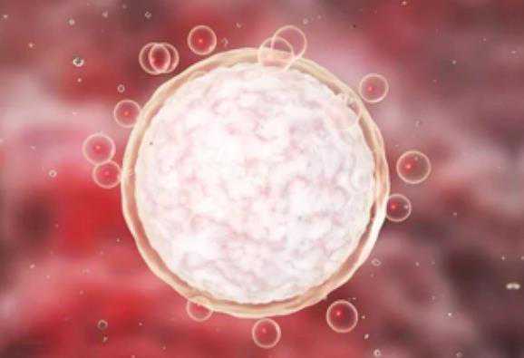 国内地贫捐卵联系,绒毛穿刺到底有多痛（绒毛穿刺疼吗）