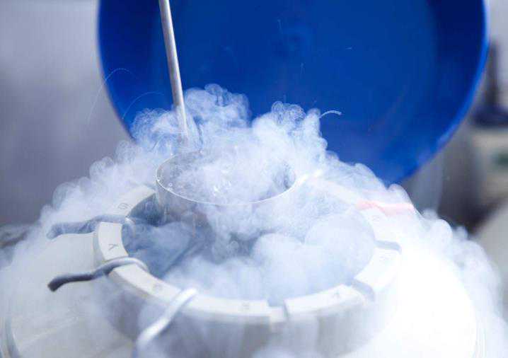 国内供卵流程费用,优生五项主要是看IgG还是IgM？