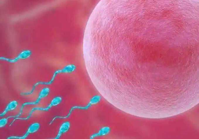 国内哪里能做代孕,厦门第一医院试管哪个医*好怎样选择医*