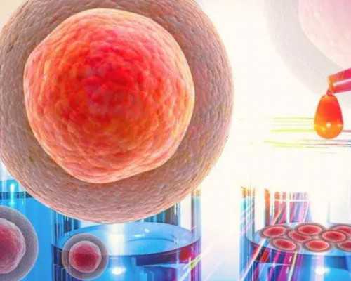 国内最大供卵机构,开封哪里试管婴儿比较好？开封做试管婴儿哪家好？