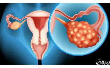 国内供卵试管医院有哪些,泰国试管婴儿*率高不高