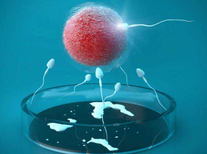 武汉锦欣医院做试管怎么样？--代妈应聘