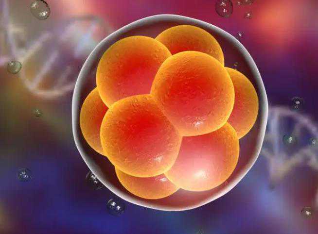 国内代生电话,长沙三代试管比较好的私人医院流程