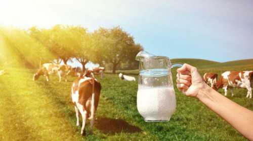 初期怀孕服用叶酸片安全吗--助孕多少钱