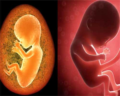 国内正规供卵试管机构,备孕注意事项，男士备孕注意事项