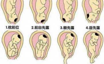 国内供卵中介有哪些,金昌试管高成功率医院真的吗