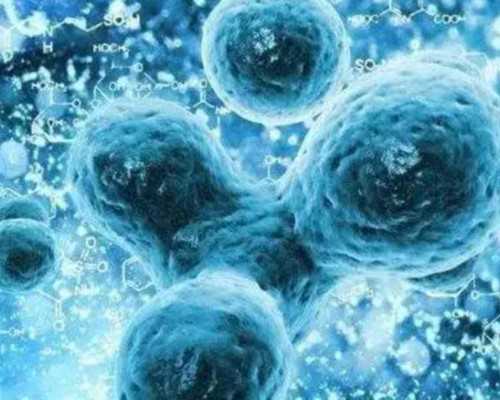 全国有哪些供卵医院好,患有高血压且难孕患者可以做试管吗？