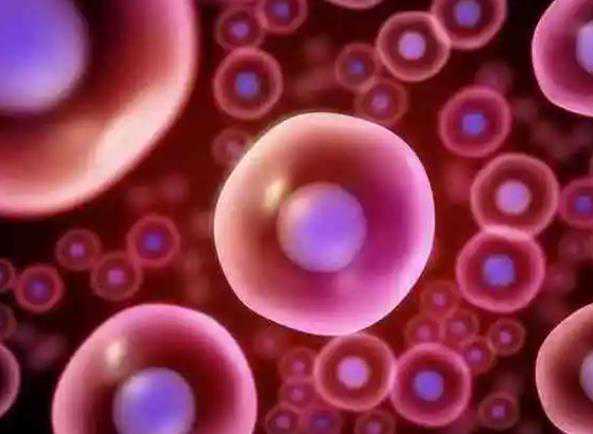 国内代怀公司,41岁试管养囊还是不养更好让胚胎着床?