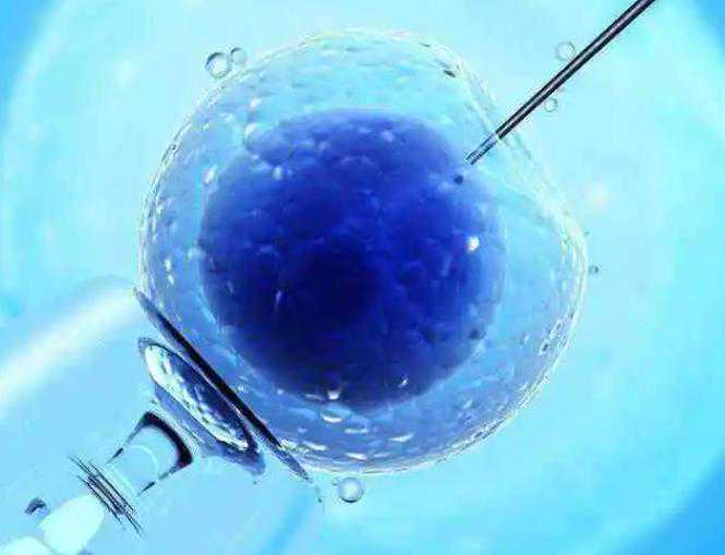 2022武汉试管婴儿成功率较高医院排名，附试管生男孩费用明细--人工代怀