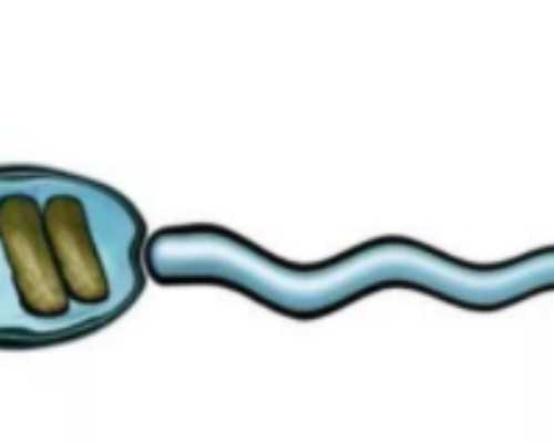 子宫内膜6mm试管成功案例！6mm冻胚移植成功案例分享--代妈成功怀上