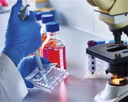 武汉试管婴儿成功率多少？哪些方法有助成功？--助孕机构费用价格