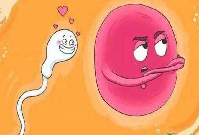 国内供卵试管的步骤,什么叫试管婴儿周期？促黄体*成素达到多少可移植