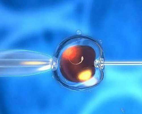 全国最好的代孕医院_,假性怀孕可以不去理会吗,假性怀孕的几率有多大