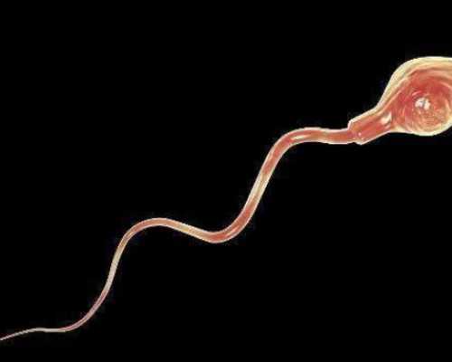 排卵后试纸会不会变淡？排卵后多久试纸变淡？--代妈补偿表