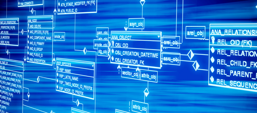 萌宝乐生子机构